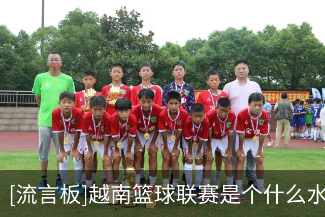 [流言板]越南篮球联赛是个什么水平？低于中国野球水平